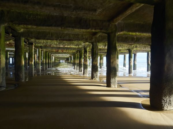 Cost of Pier And Beam Leveling in Napa